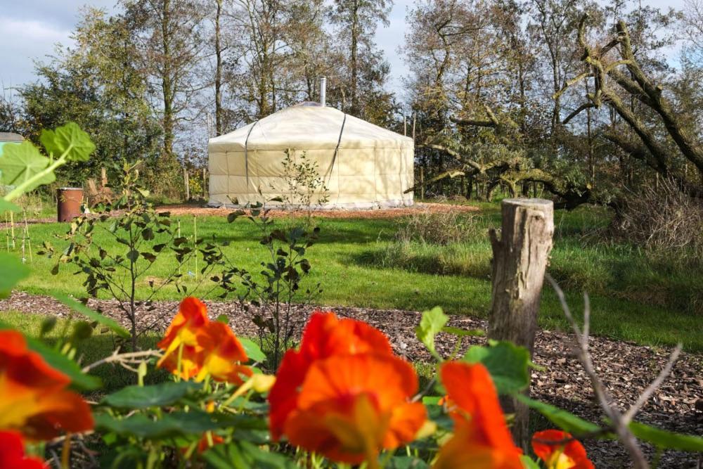 Yurt Klyndobbe Bed & Breakfast Veenwoudsterwal Luaran gambar